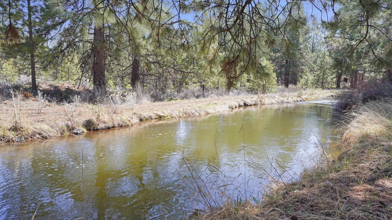 Photo of Others in Deschutes River Woods