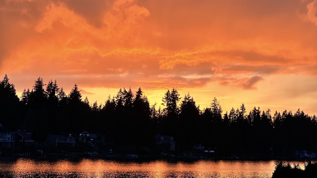Photo of Others in Bonney Lake