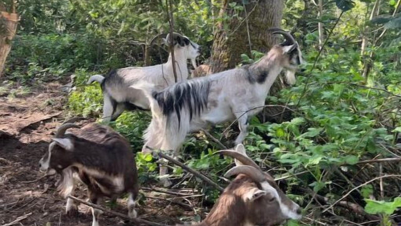 Photo of Others in Newberg