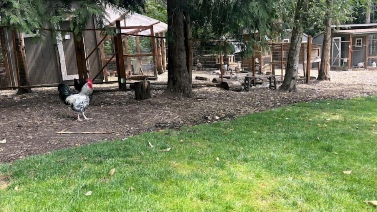 Photo of Others in Newberg