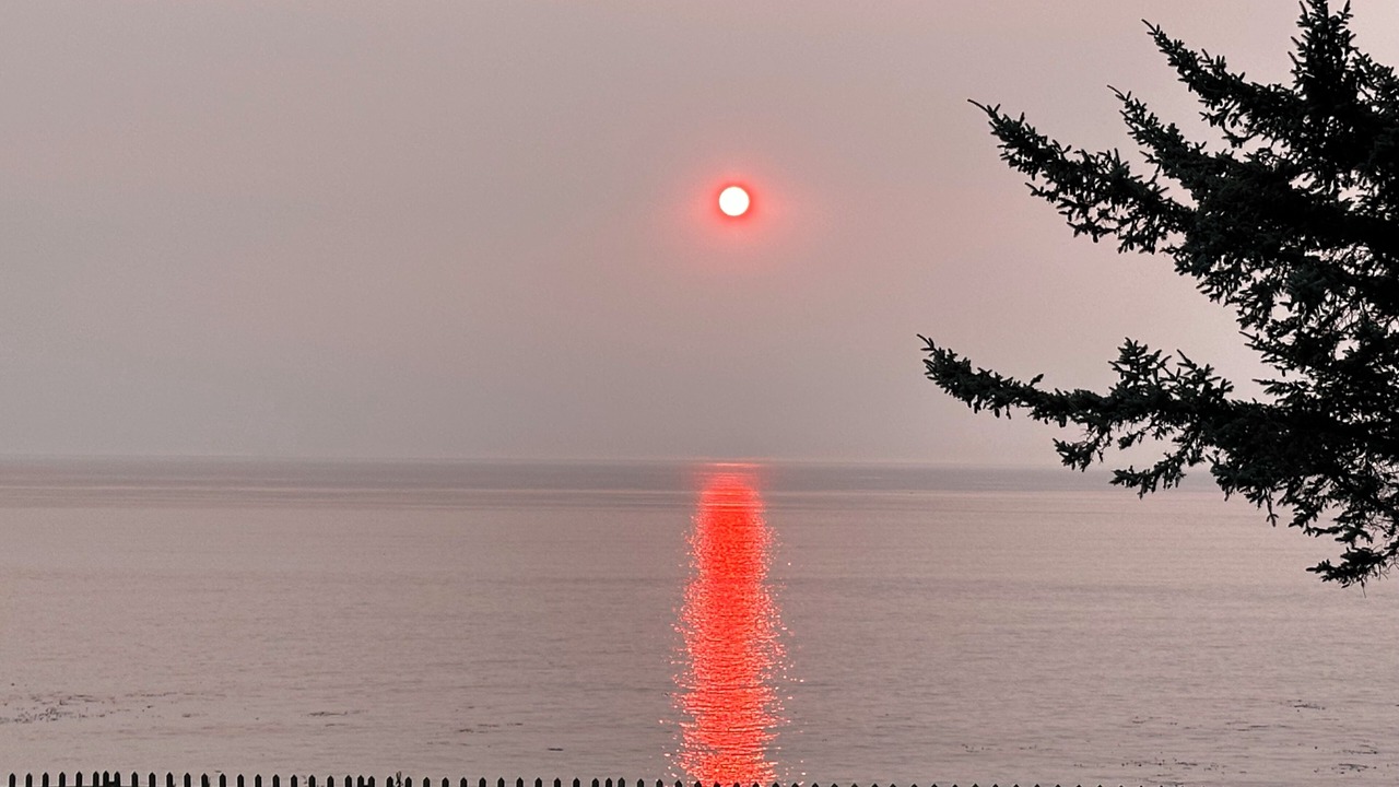 Photo of Others in Oak Harbor