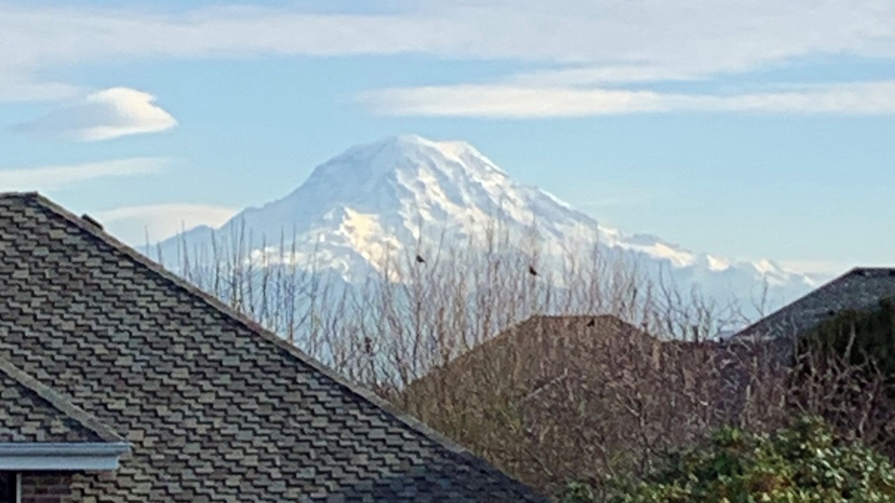 Photo of Outdoor in Northeast Tacoma