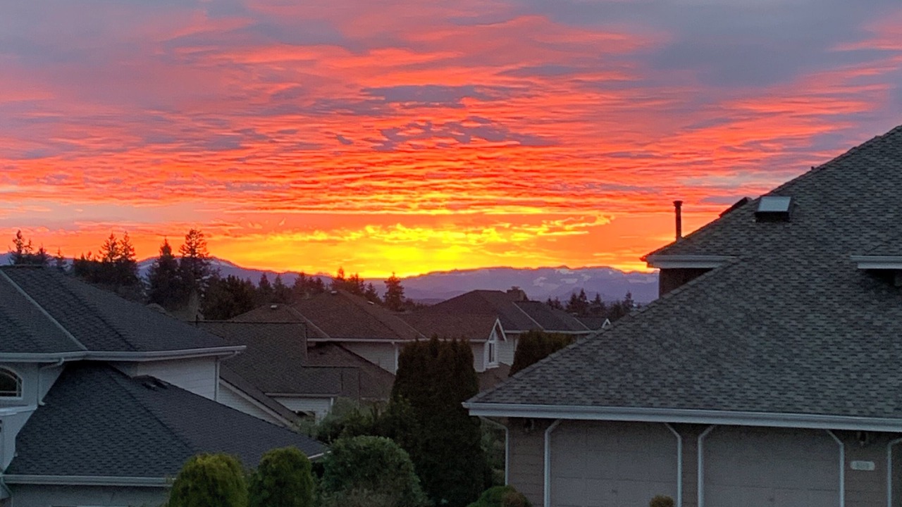 Photo of Others in Northeast Tacoma