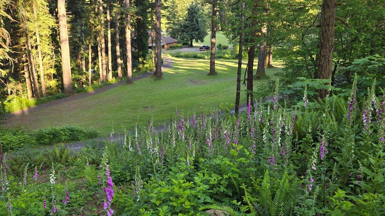 Photo of Others in Washougal