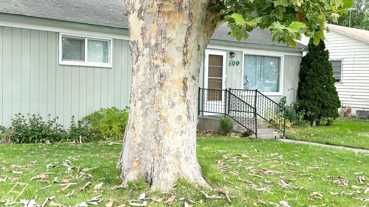 Photo of Outdoor in Mountain Home