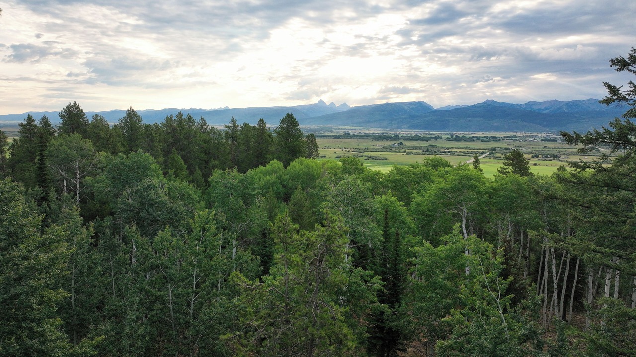 Photo of Others in Victor