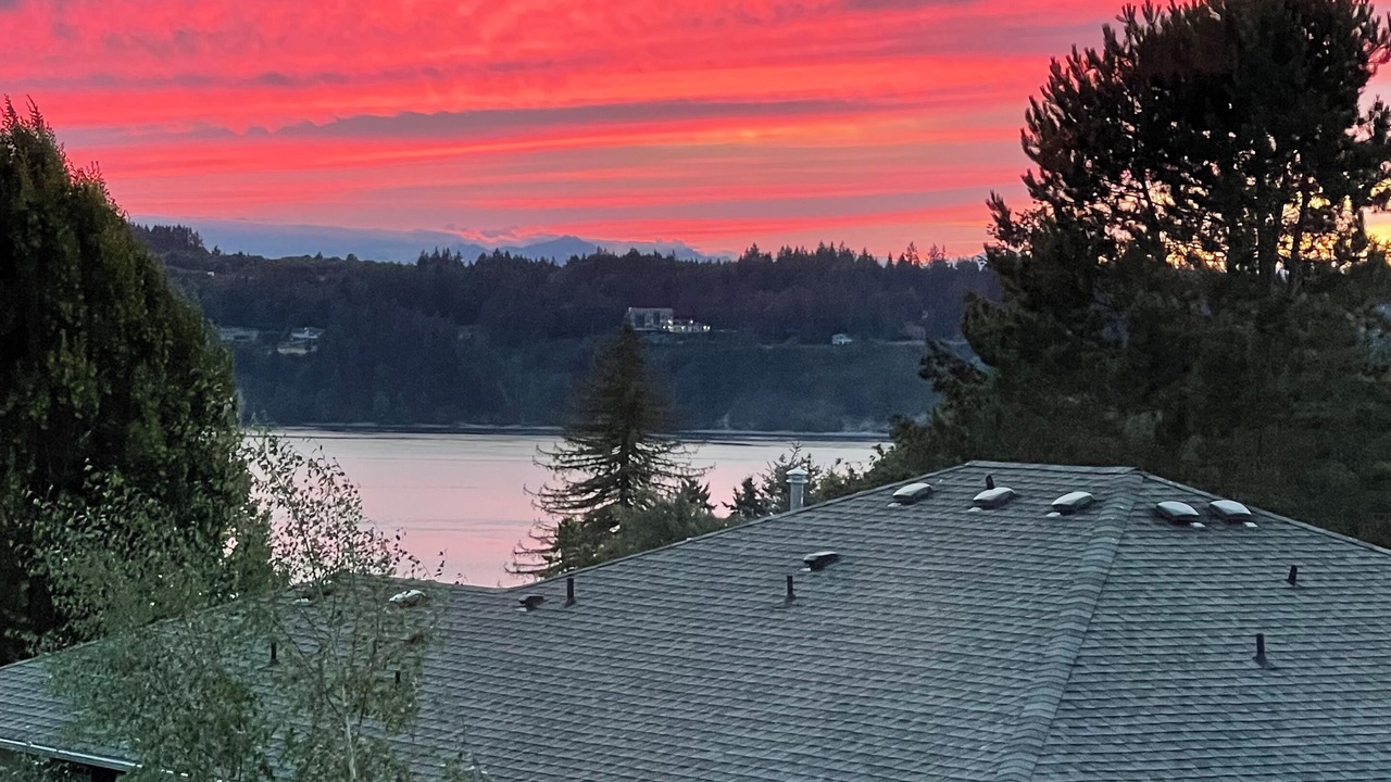 Photo of Outdoor in West End