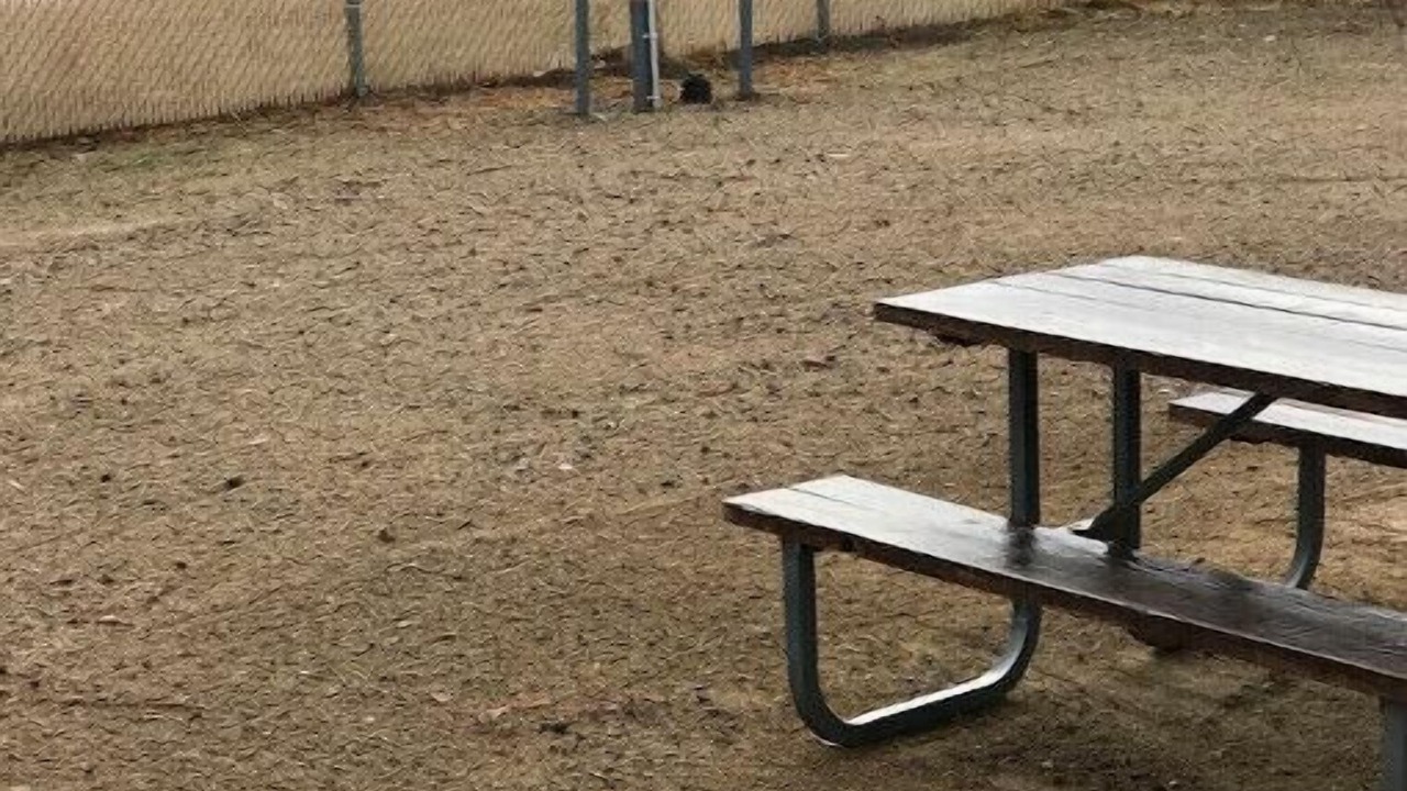 Photo of Others in Medford