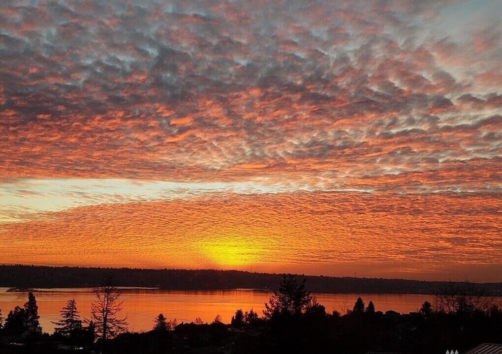 Photo of Outdoor in Tacoma