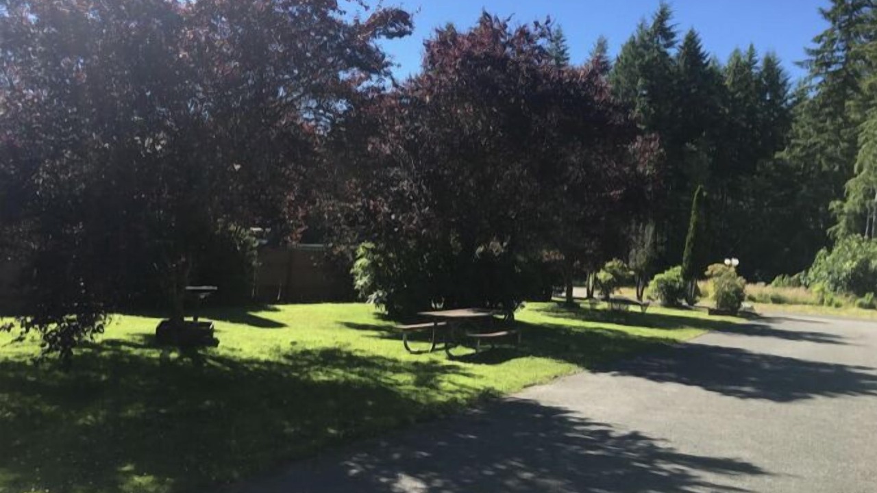 Photo of Outdoor in Amanda Park