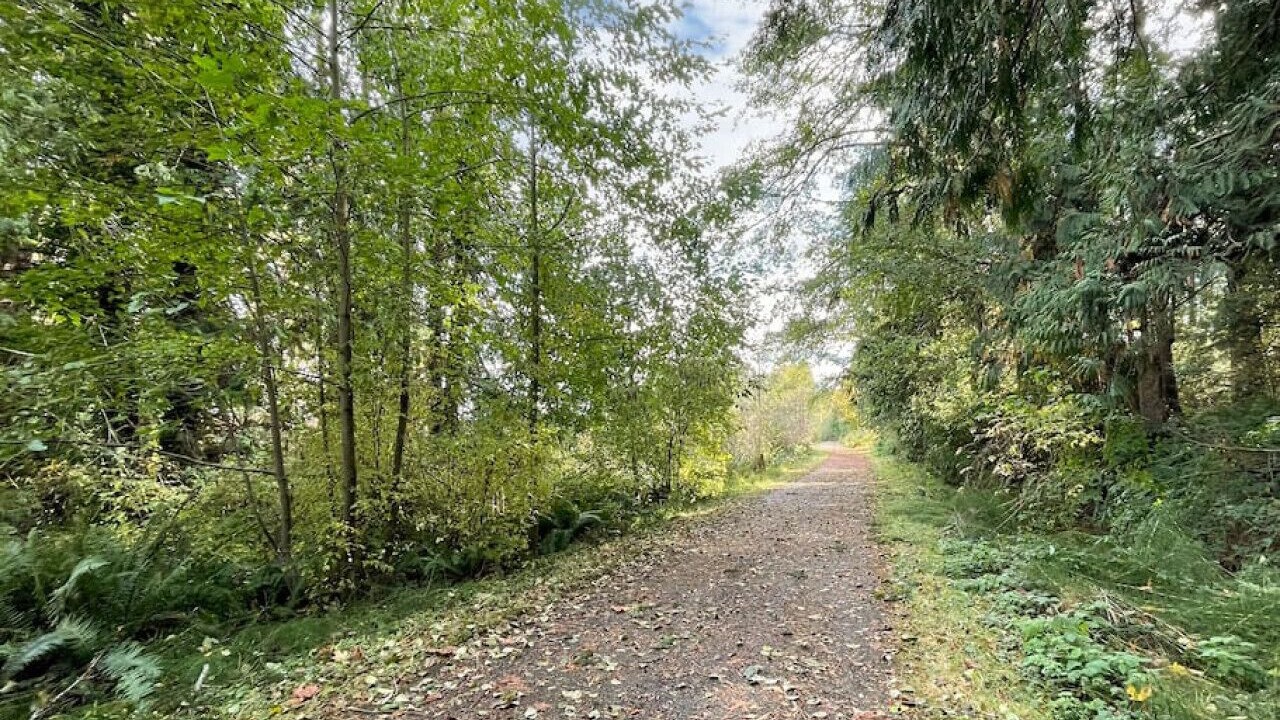 Photo of Outdoor in Sequim