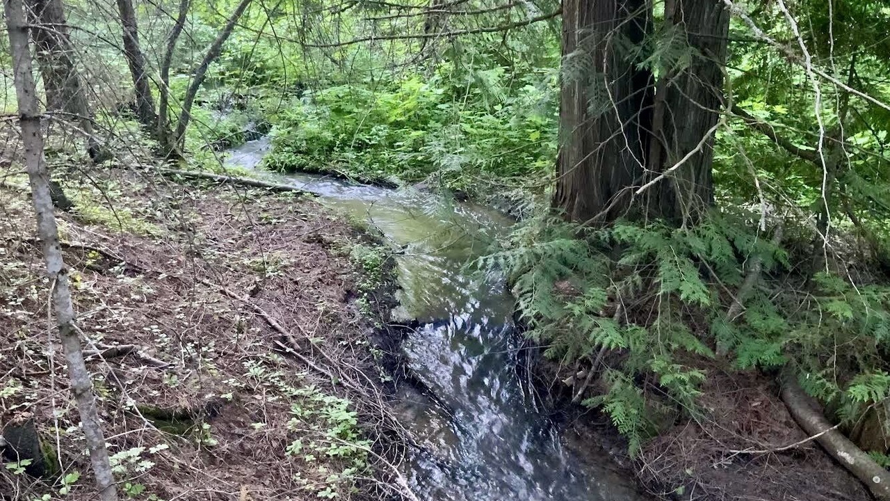 Photo of Others in Blanchard