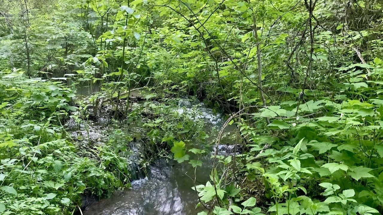 Photo of Outdoor in Blanchard