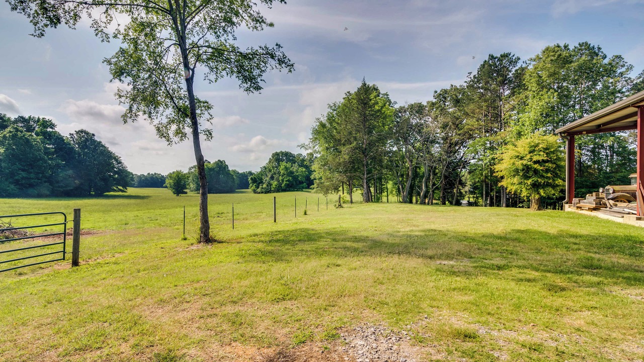 Photo of Outdoor in Starkville
