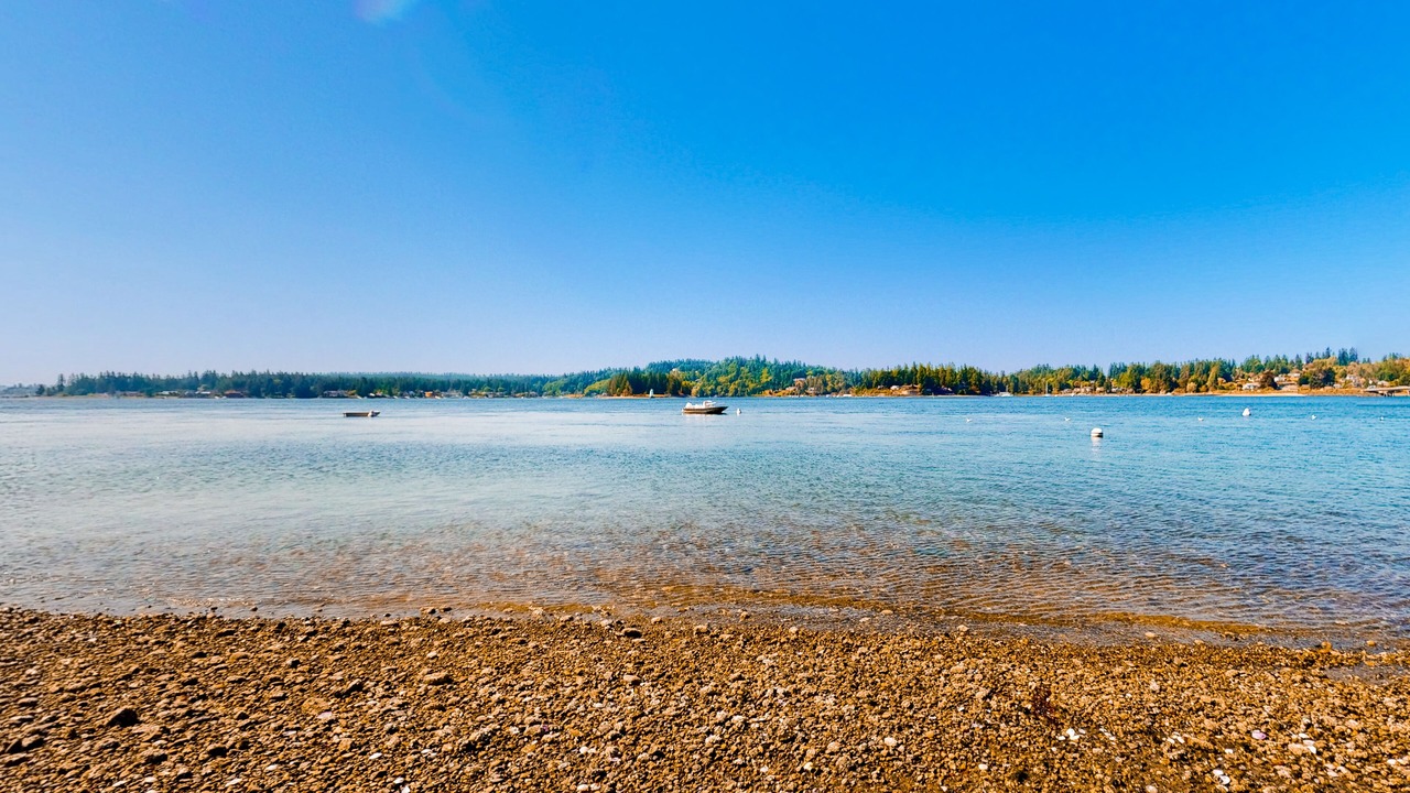 Photo of Others in Gig Harbor