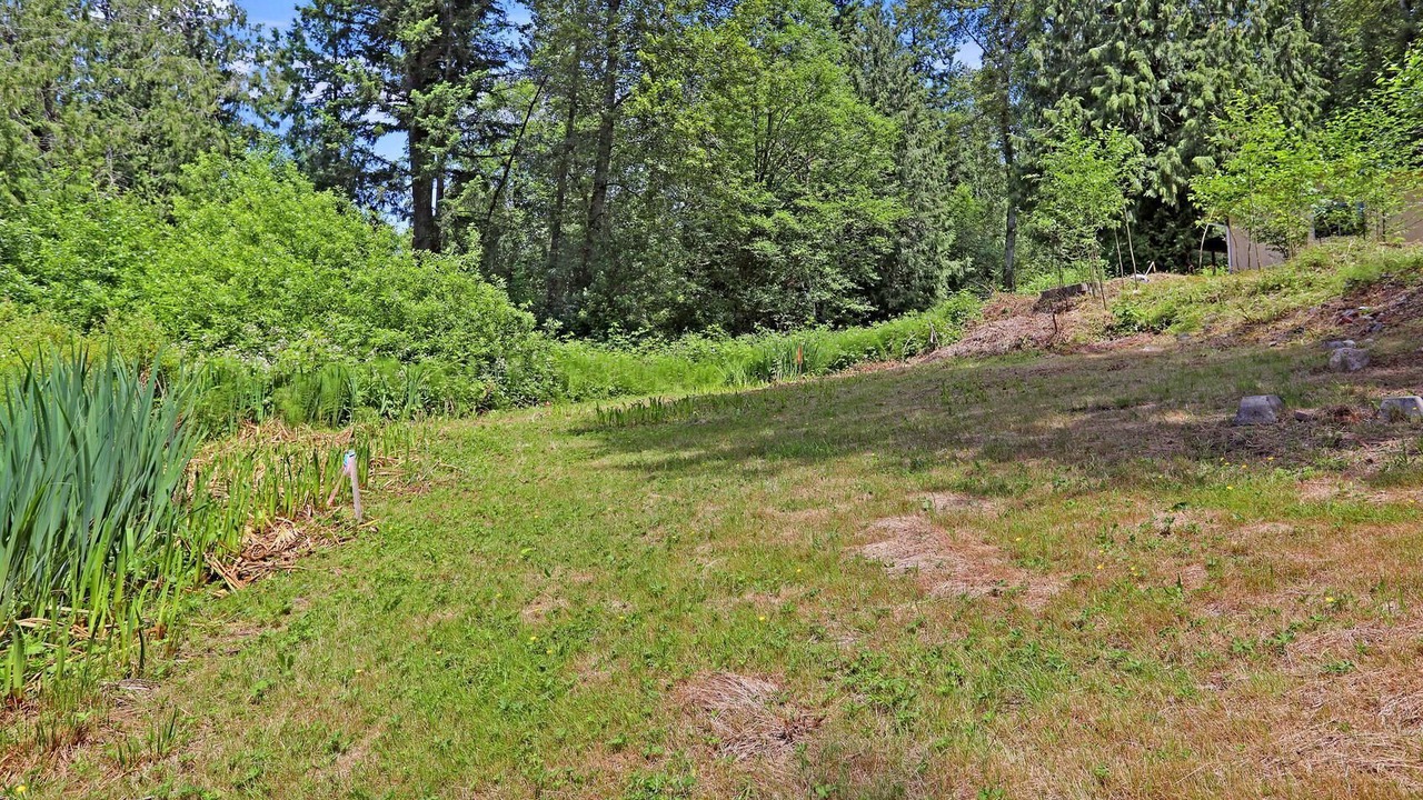 Photo of Others in East Renton Highlands