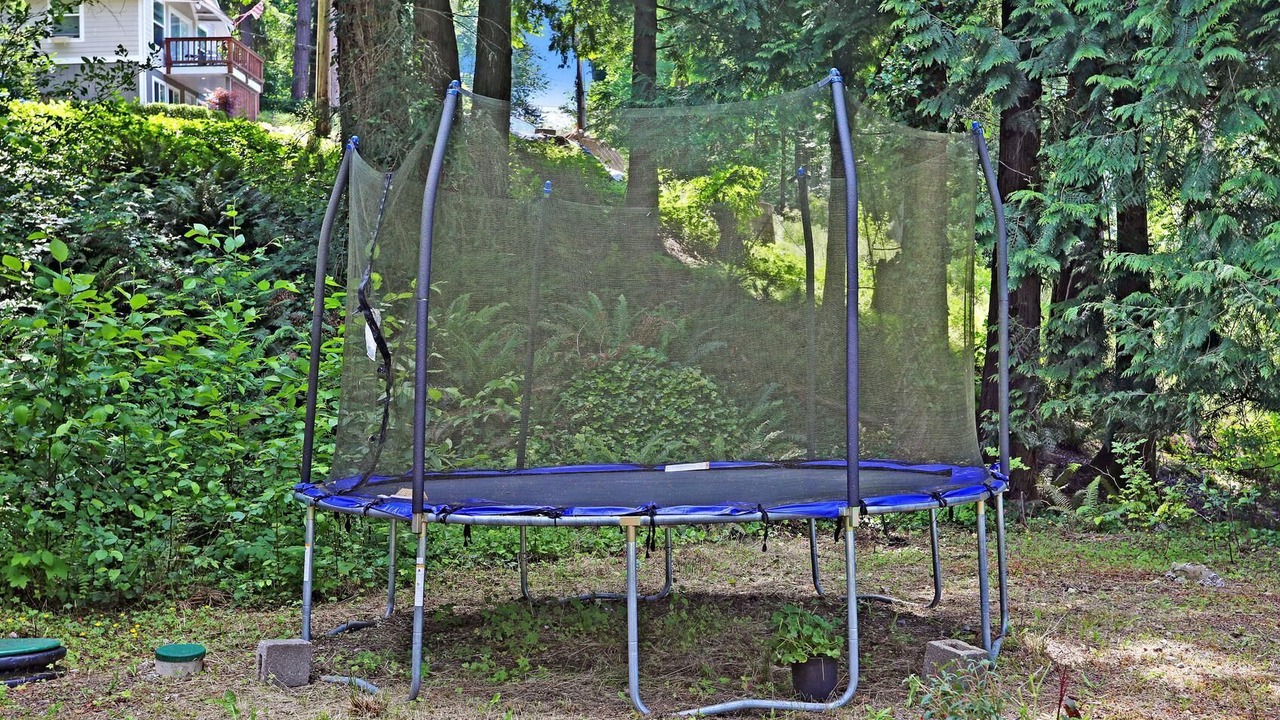 Photo of Others in East Renton Highlands