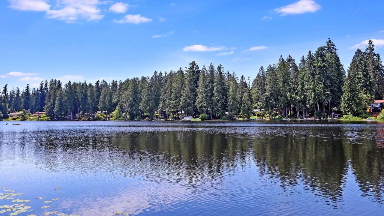 Photo of Outdoor in East Renton Highlands
