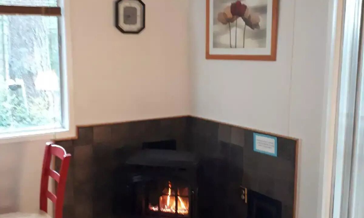 Photo of Livingroom in Langley