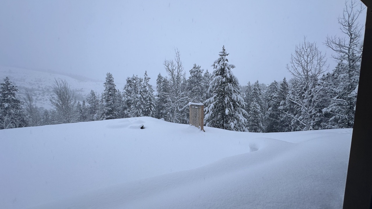 Photo of Others in Butler Creek