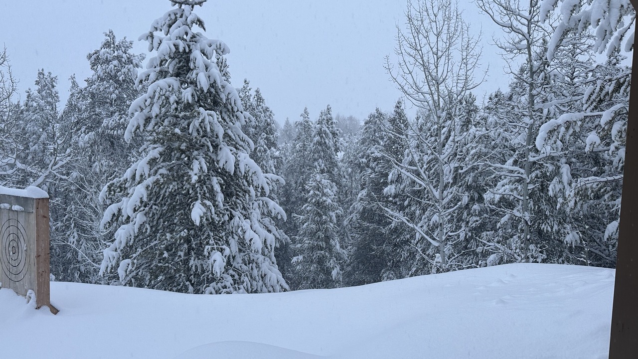Photo of Others in Butler Creek