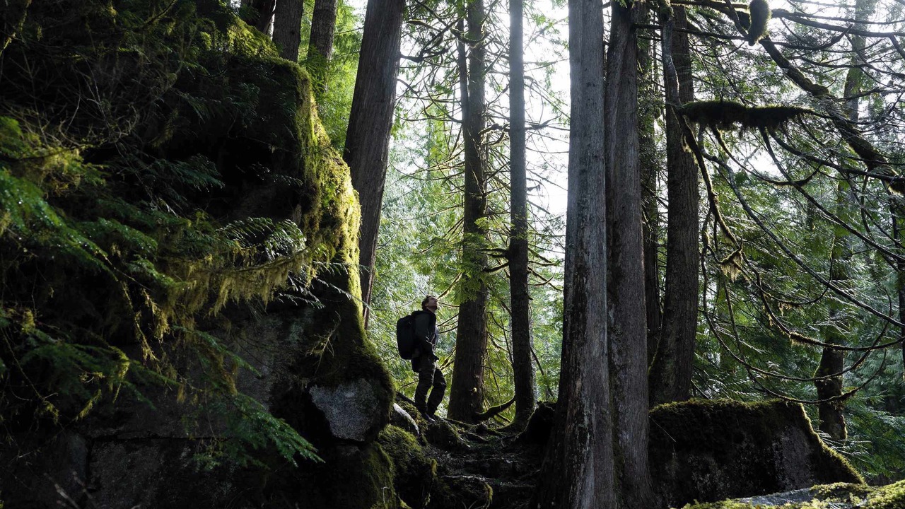 Photo of Others in Skykomish