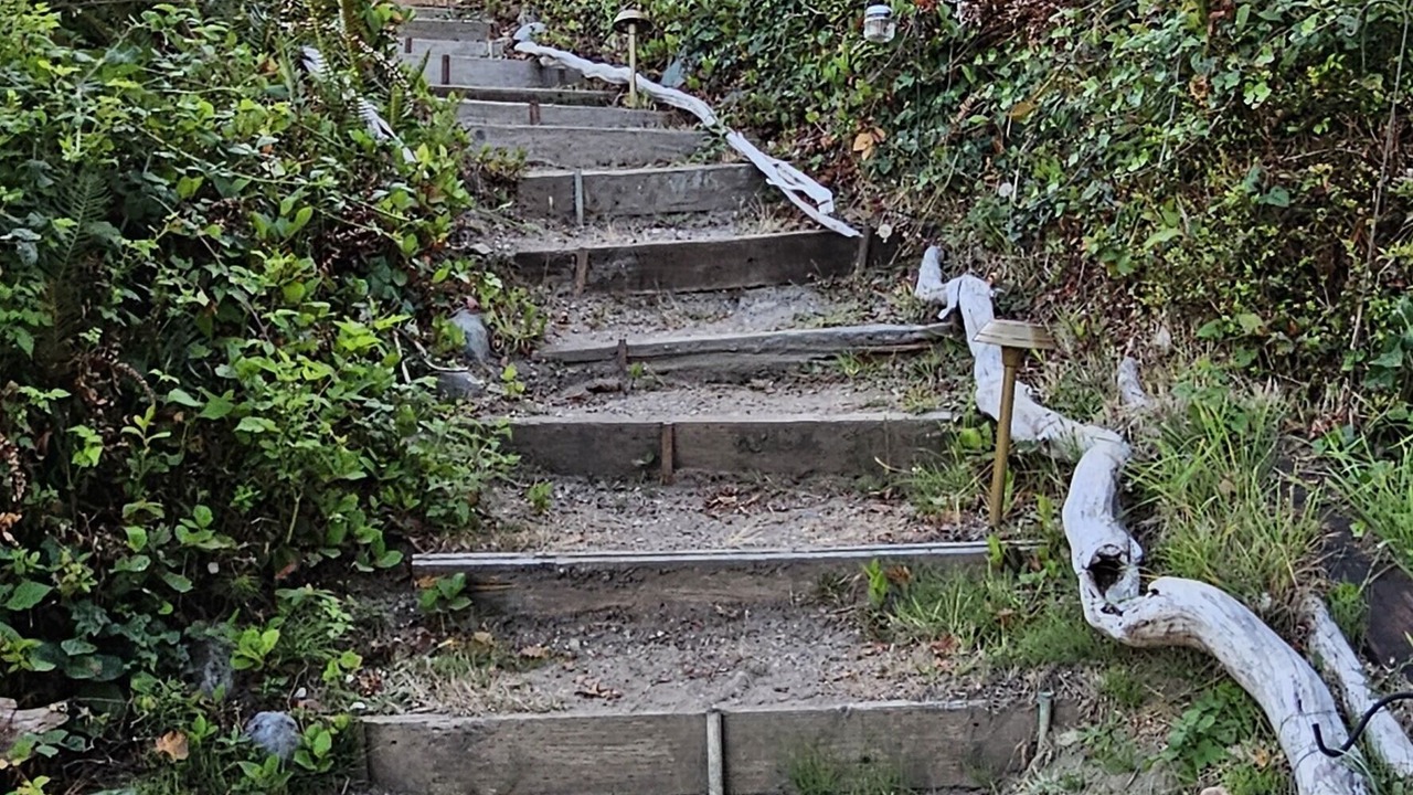 Photo of Outdoor in Gig Harbor