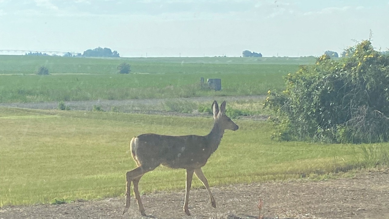 Photo of Others in Minidoka County
