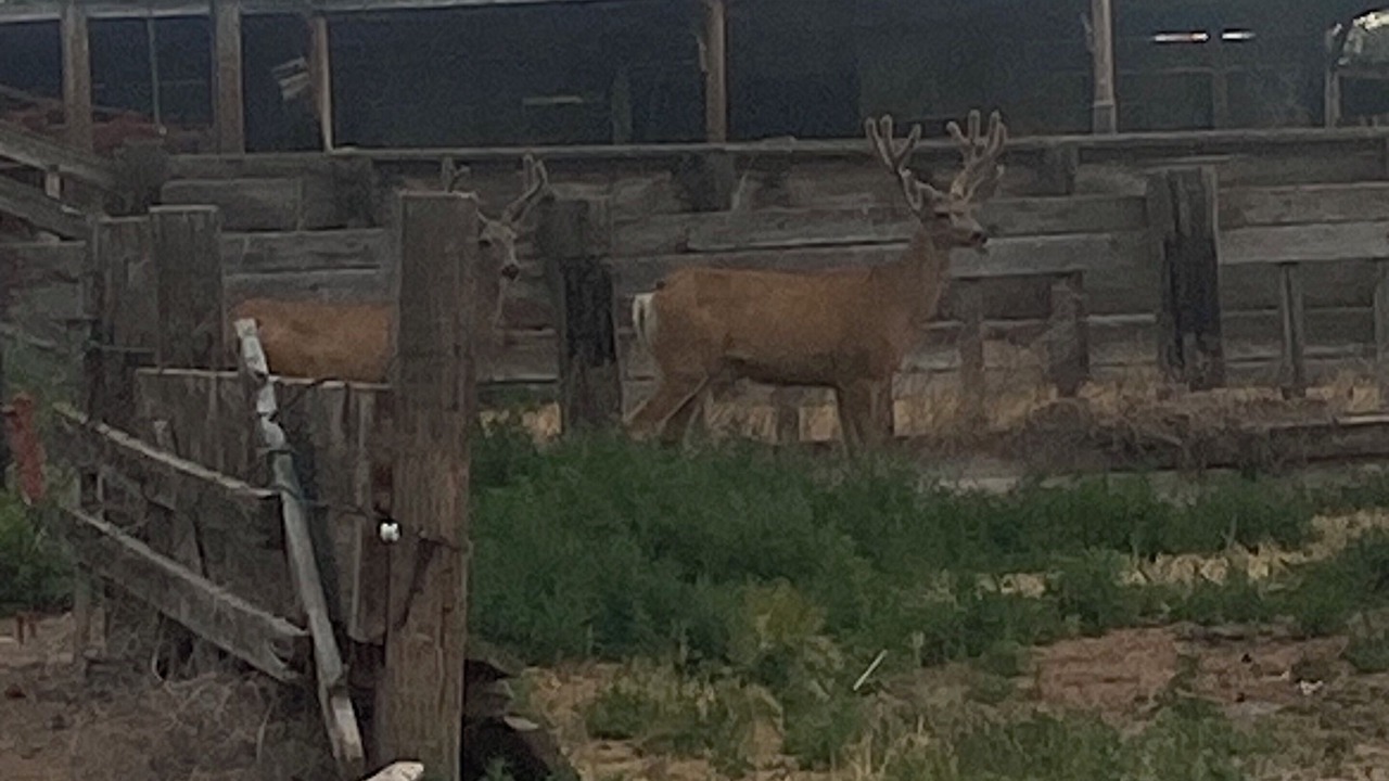 Photo of Others in Minidoka County