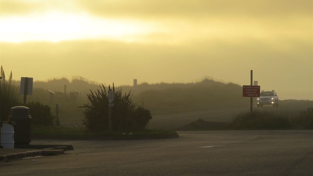 Photo of Others in Ocean Shores