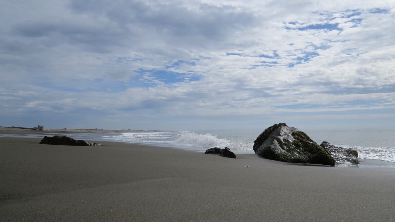 Photo of Others in Ocean Shores