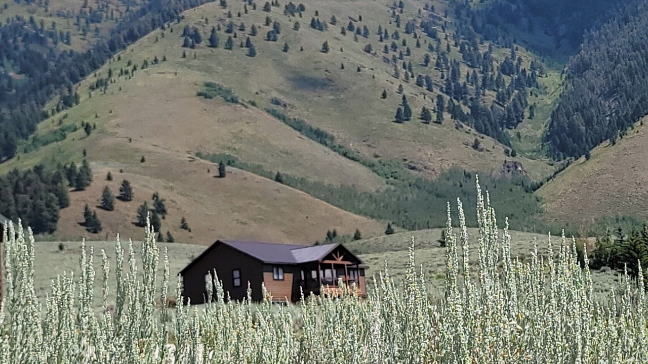 Photo of Outdoor in Island Park