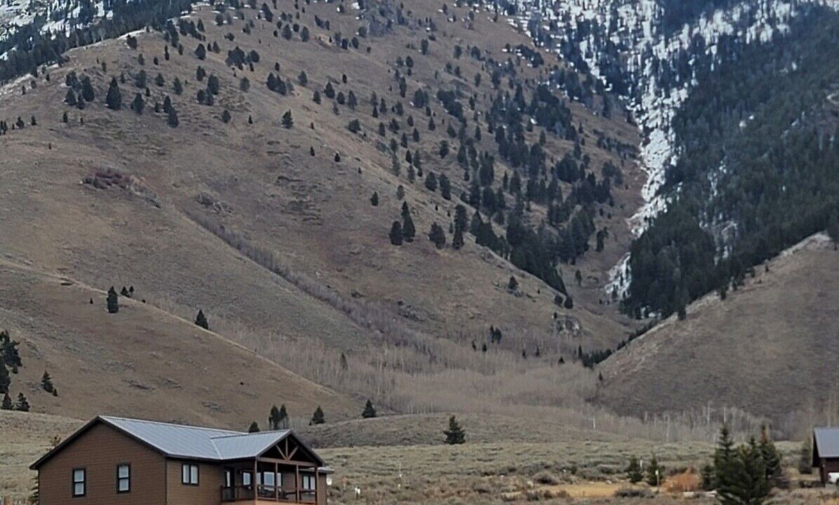 Photo of Outdoor in Island Park