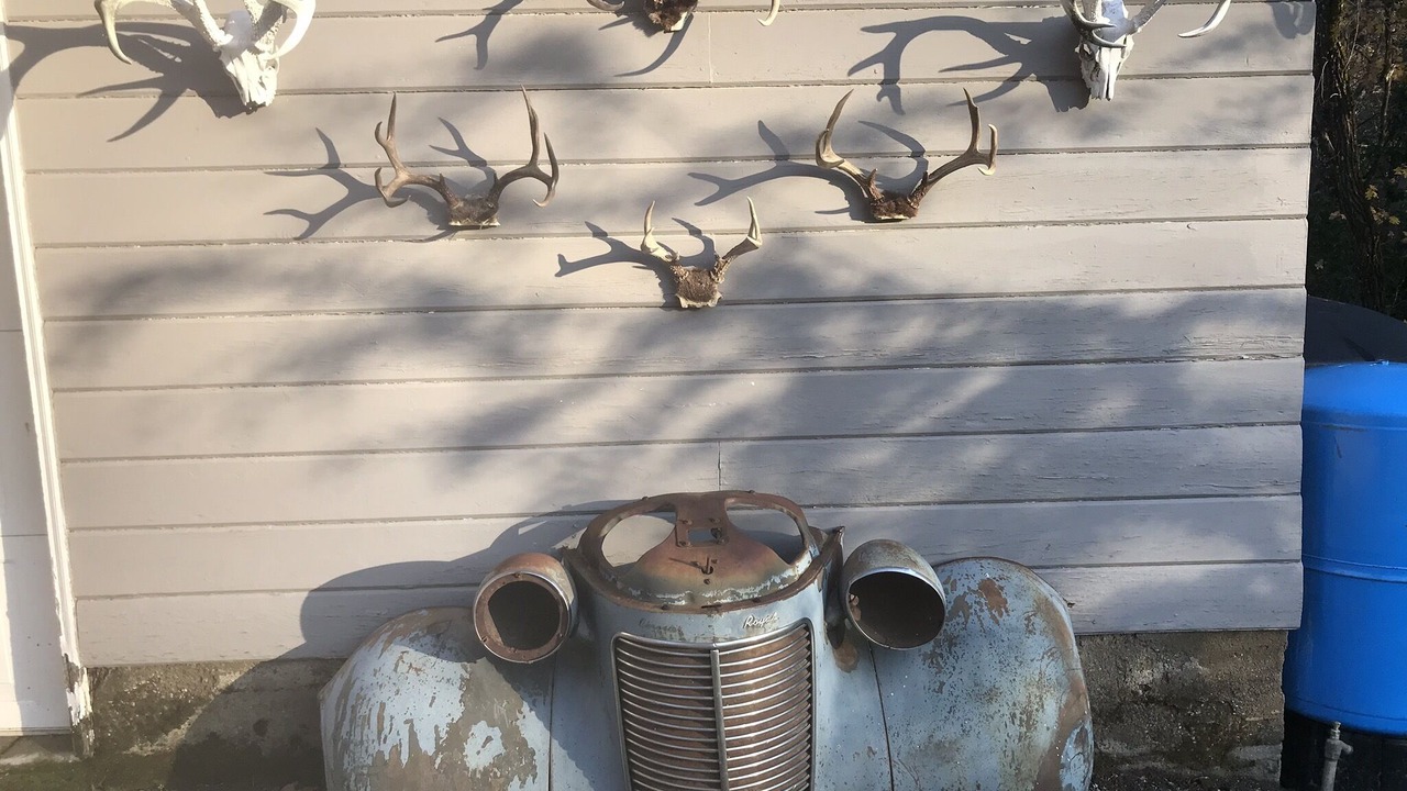 Photo of Outdoor in Gold Hill