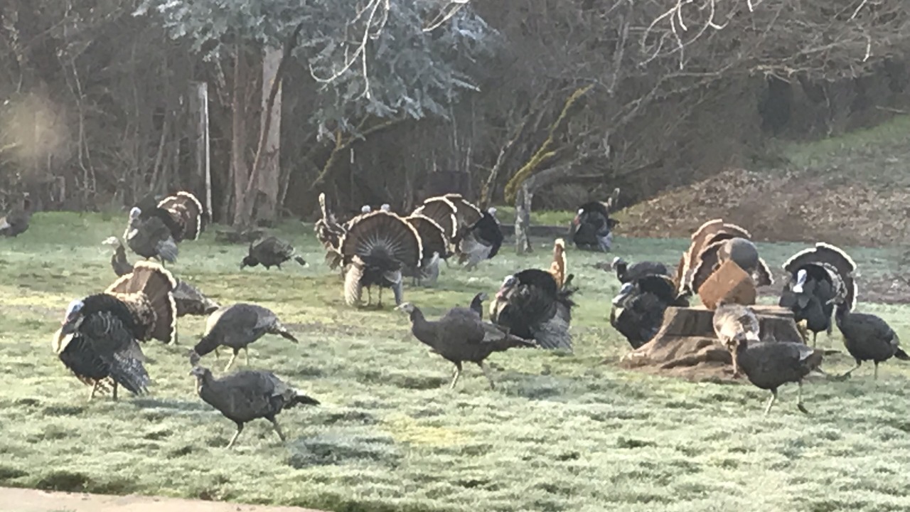Photo of Outdoor in Gold Hill