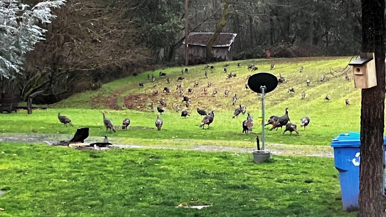 Photo of Others in Gold Hill