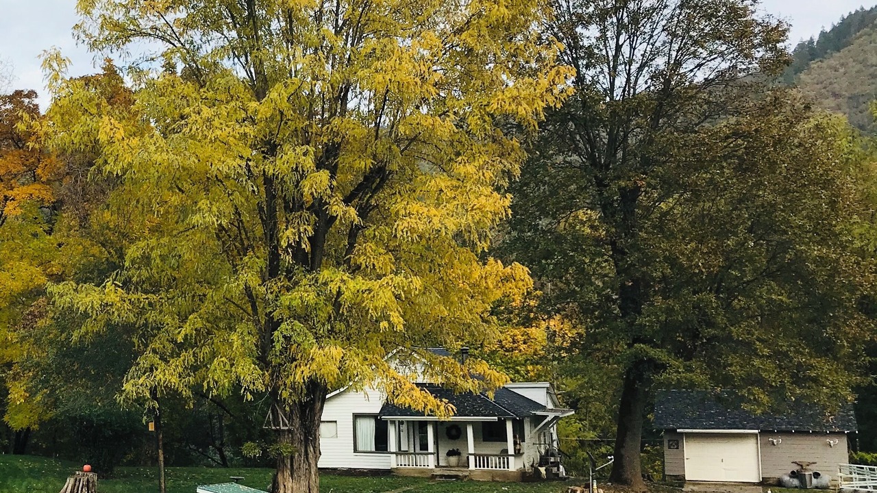Photo of Outdoor in Gold Hill