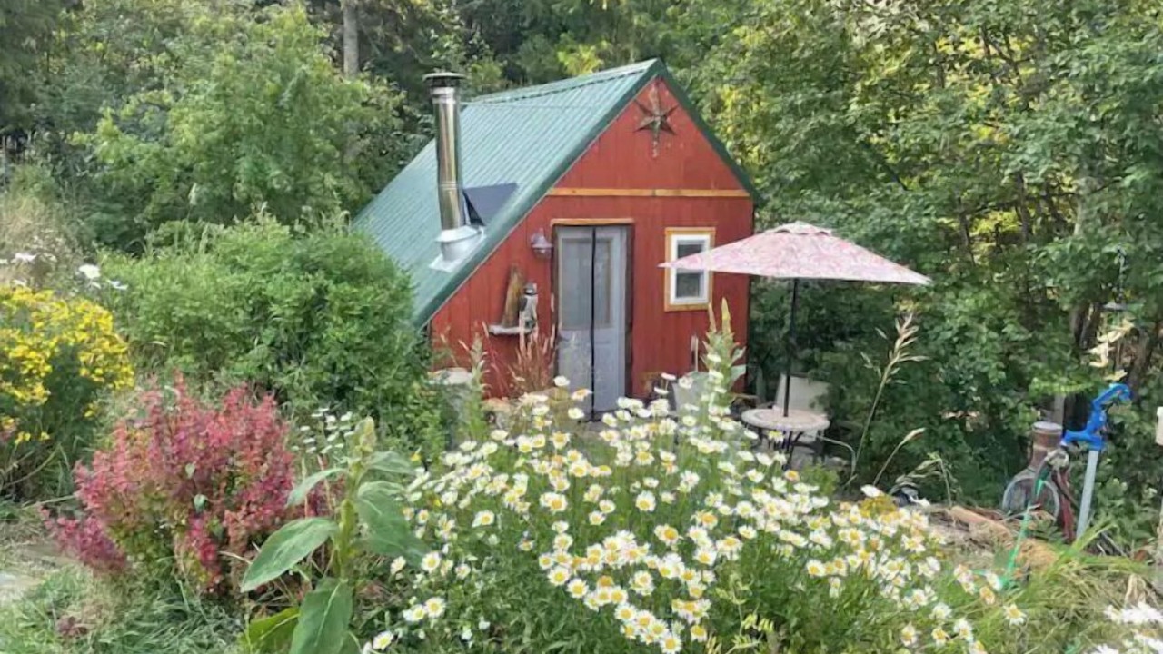 Photo of Outdoor in Sagle