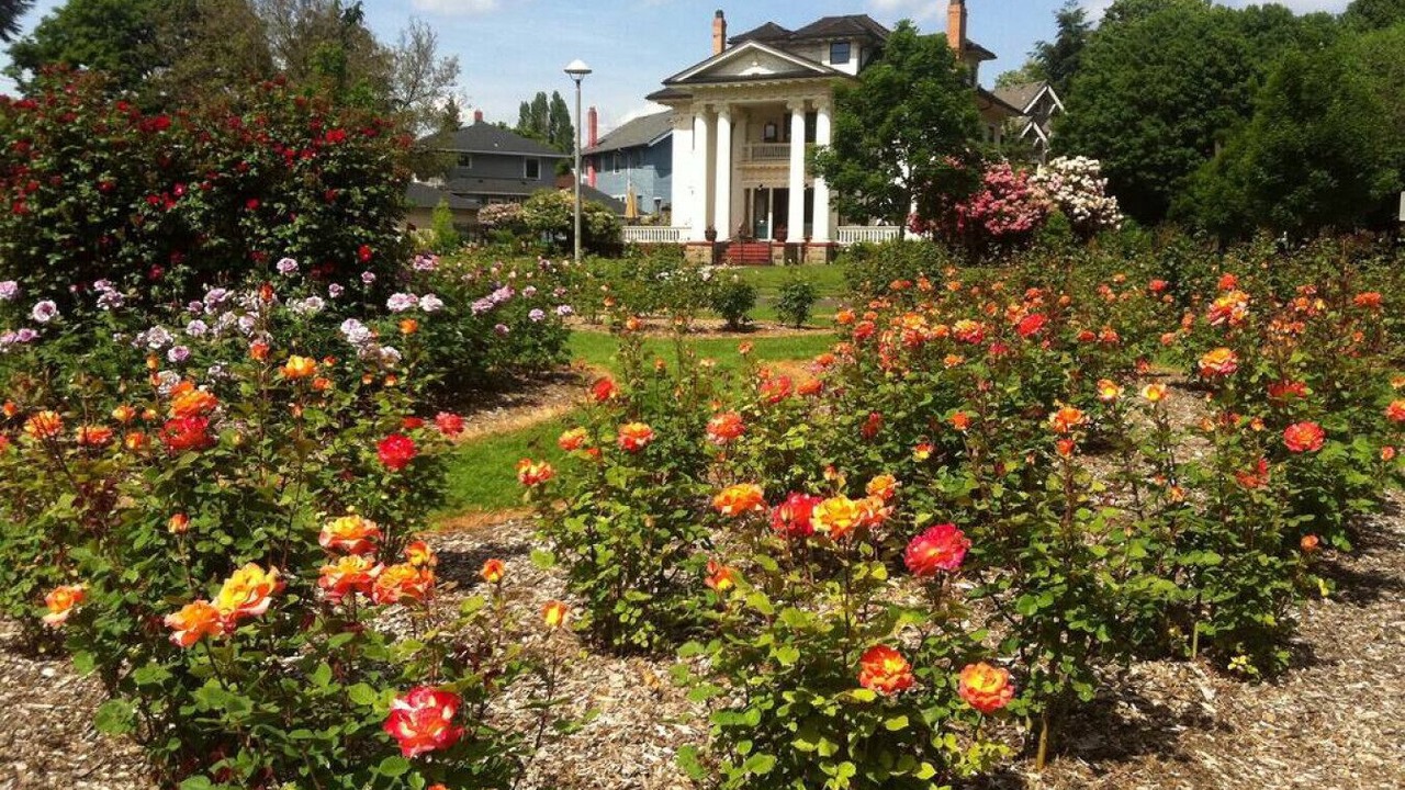 Photo of Outdoor in Ladd's Addition