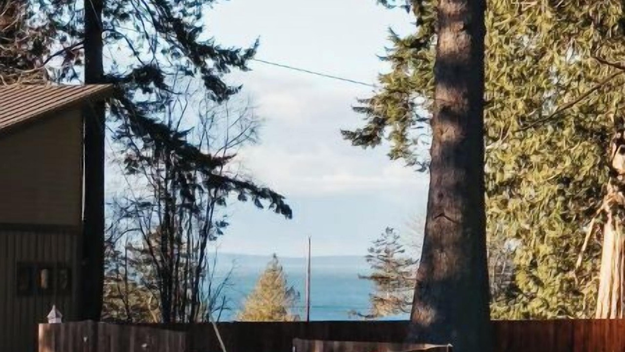Photo of Outdoor in Ferndale