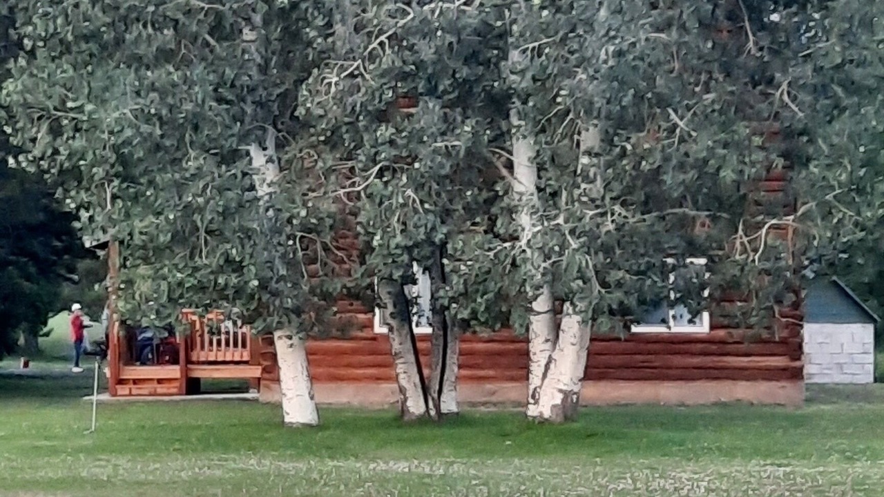 Photo of Outdoor in Chester