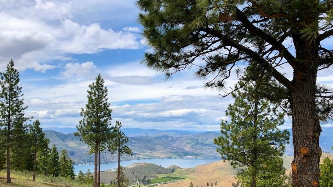 Photo of Others in Chelan