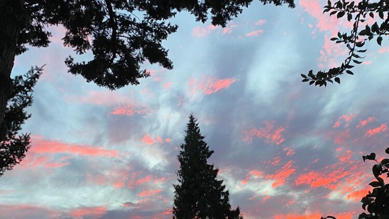 Photo of Outdoor in Portland