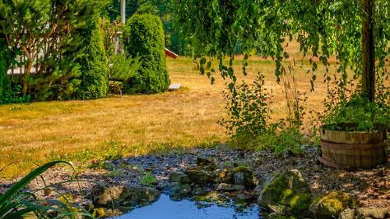 Photo of Outdoor in Sequim