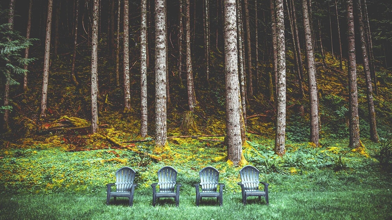 Photo of Others in Enumclaw