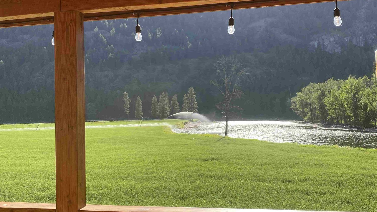 Photo of Outdoor in Curlew