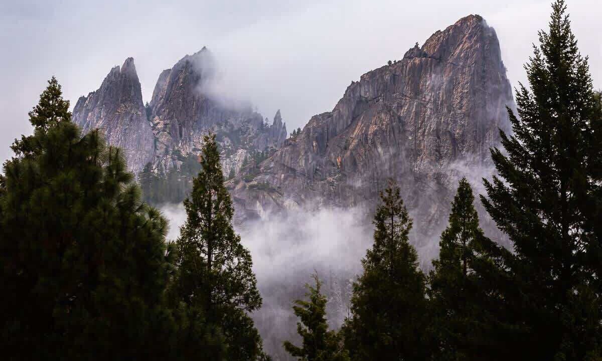 Photo of Others in Dunsmuir