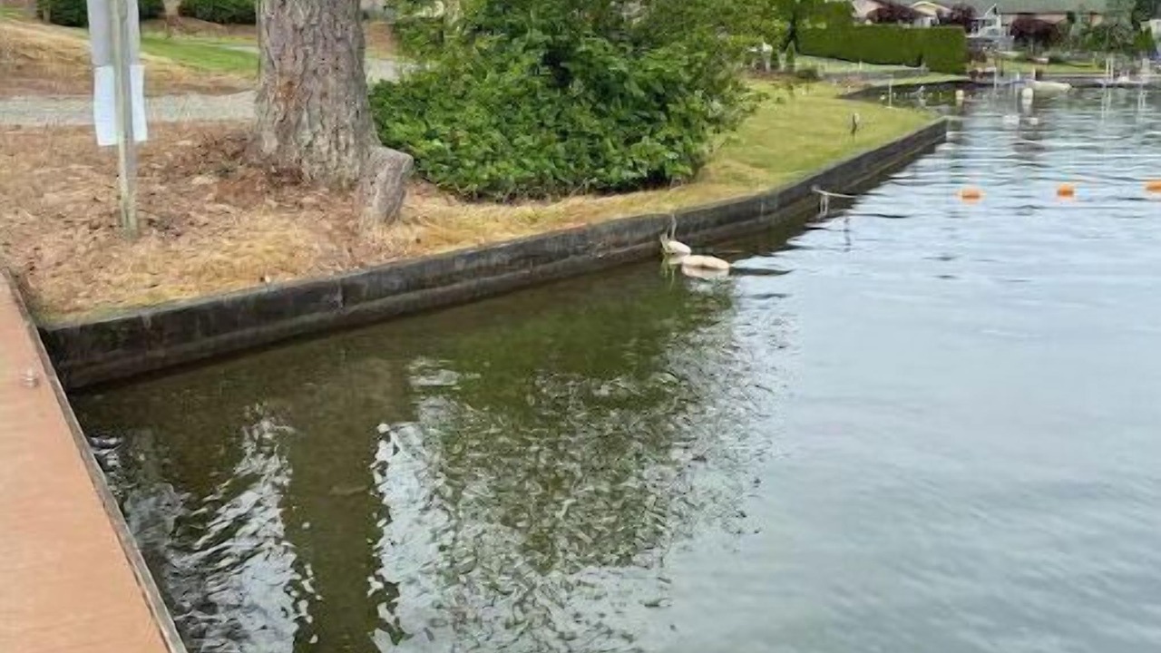 Photo of Outdoor in Bonney Lake