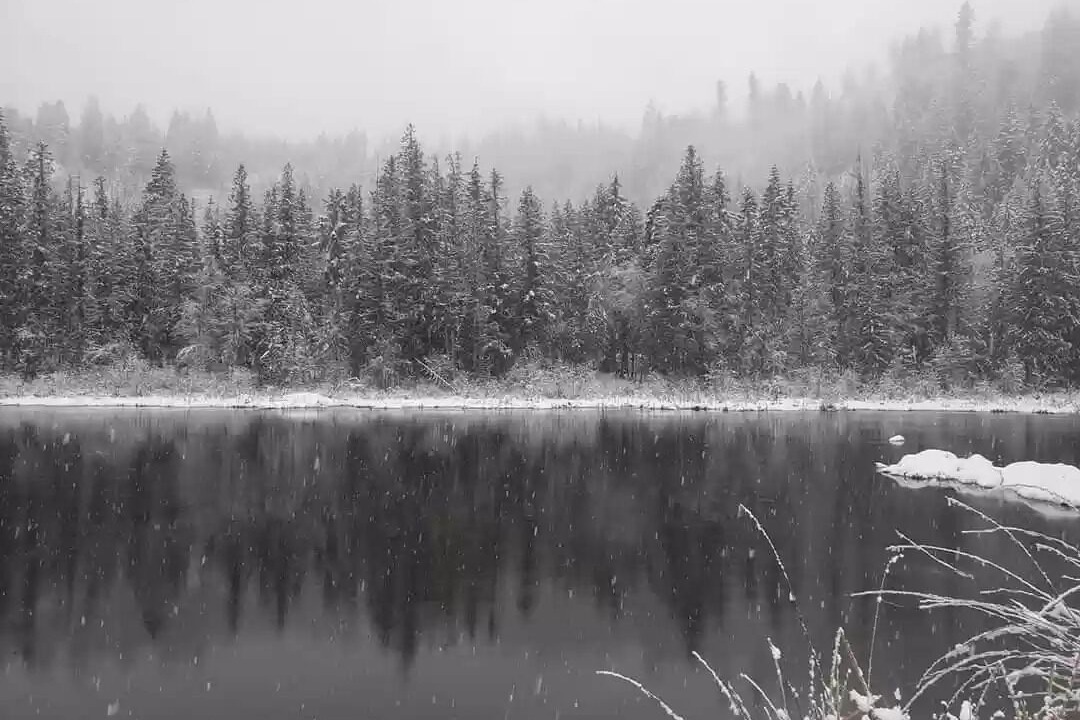 Photo of Outdoor in Elk