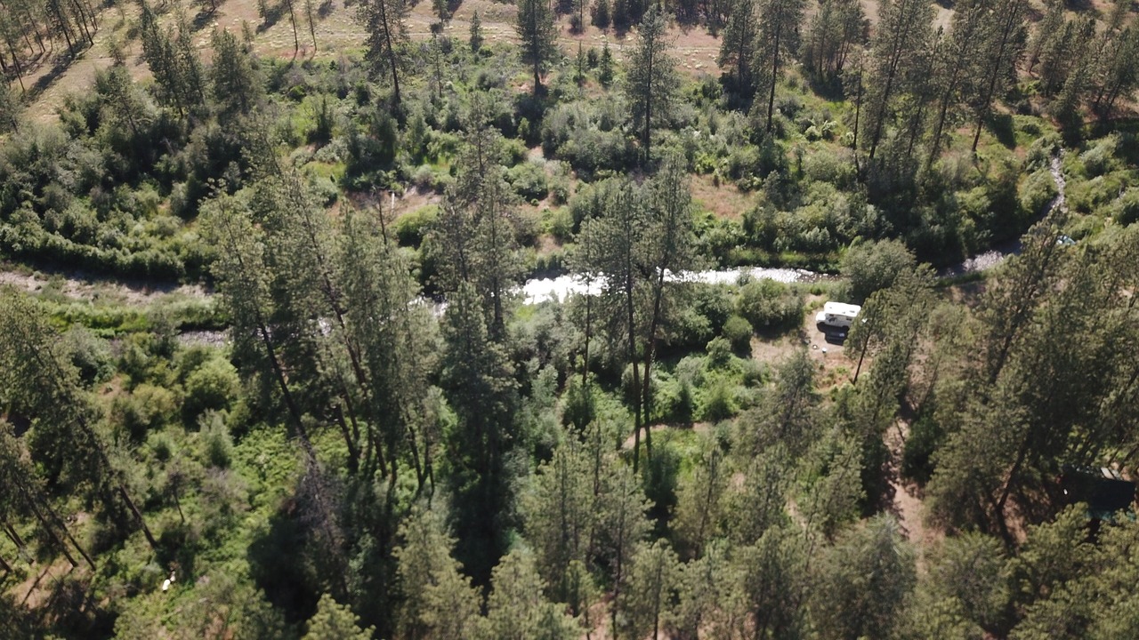 Photo of Outdoor in Wellpinit